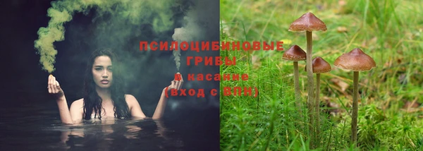 2c-b Михайловск