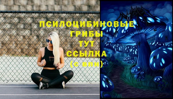 амф Бикин