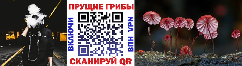 Псилоцибиновые грибы ЛСД  Сосновоборск 