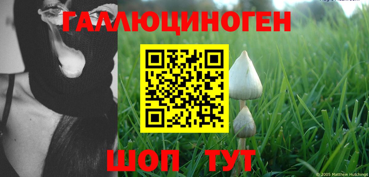 Сосновоборск  Галлюциногенные грибы прущие грибы  Вход с VPN 