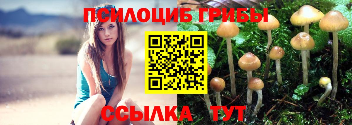 Псилоцибиновые грибы Magic Shrooms Сосновоборск